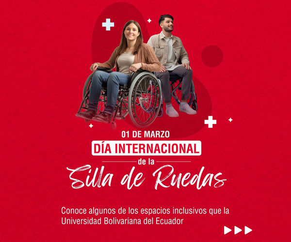 Día Internacional de la Silla de Ruedas