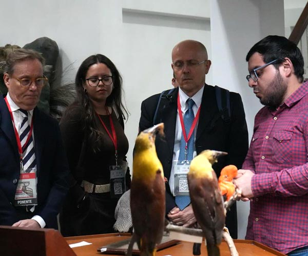 Conferencistas internacionales